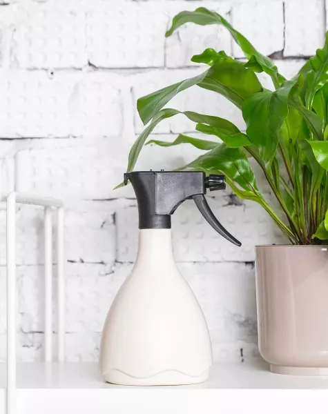 Опрыскиватель для комнатных цветов Medusa (слоновая кость)