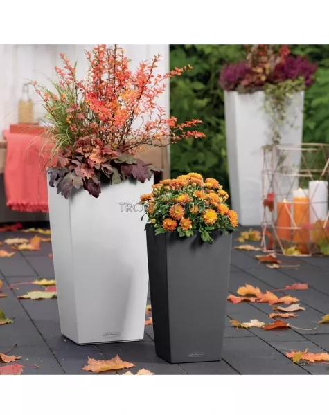 Кашпо LECHUZA CUBICO Color 30х56 см