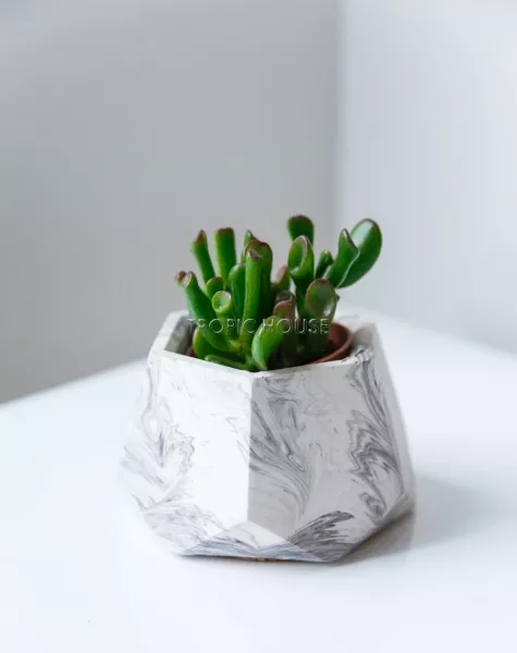 Кашпо бетонное настольное ТН 06