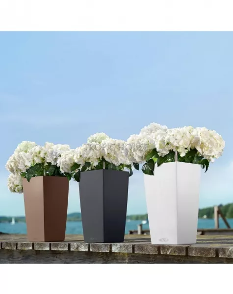 Кашпо LECHUZA CUBICO Color 22х41 см