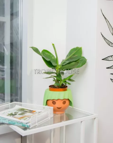 Банан в OJO 40 см