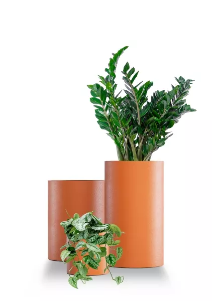 Кашпо CONCRETIKA CYLINDER CLASSIC CARROT