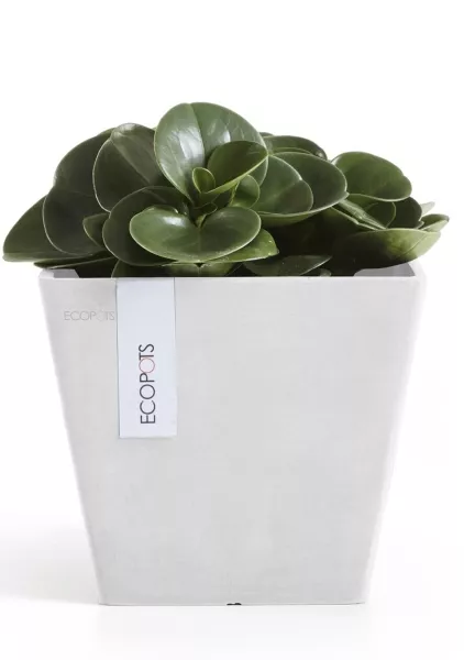 Ecopots Rotterdam 20