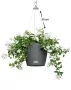 Кашпо подвесное LECHUZA NIDO Cottage 27х23 см