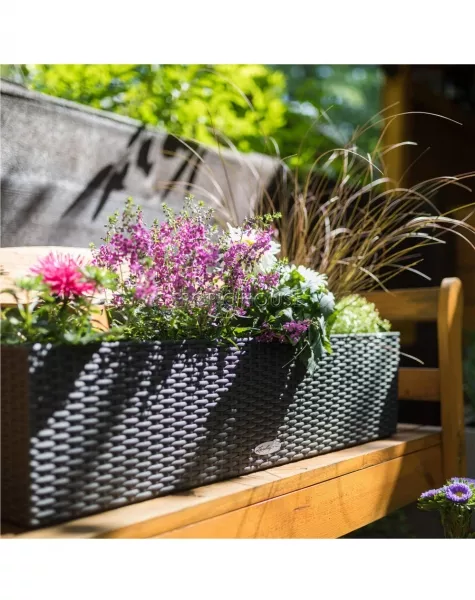 Кашпо LECHUZA BALCONERA Cottage 80х19 см