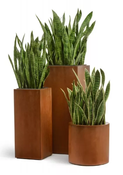 Кашпо TREEZ Effectory, Corten Steel, Высокий куб, Бархатистая окись