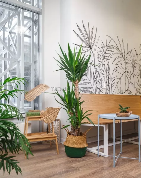 Корзина большая зеленый/крафт