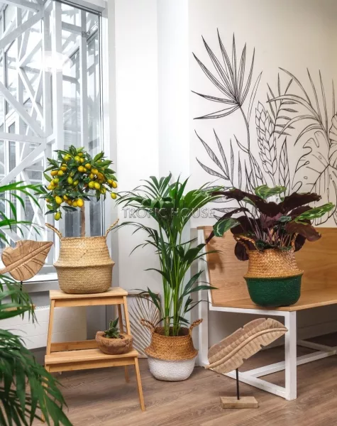 Корзина средняя белый\крафт