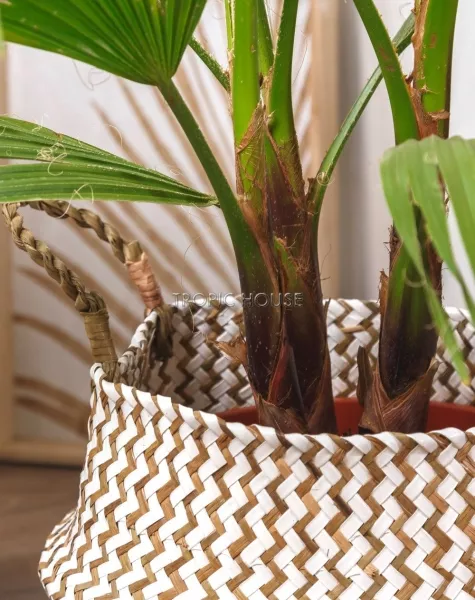 Корзина средняя белый зигзаг