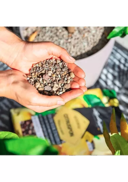 Субстрат Lechuza CITRUSPON