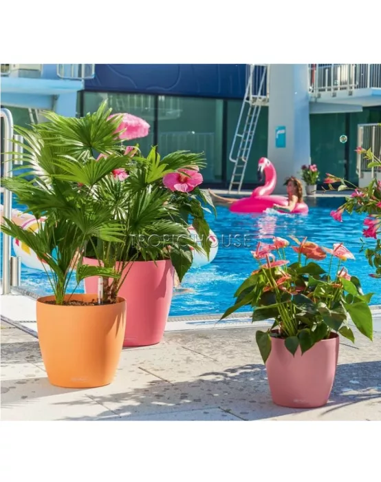 Кашпо LECHUZA CLASSICO Color 18х17 см