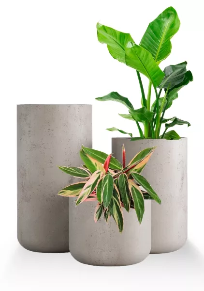 Кашпо CONCRETIKA TOPPER CONCRETE WHITE