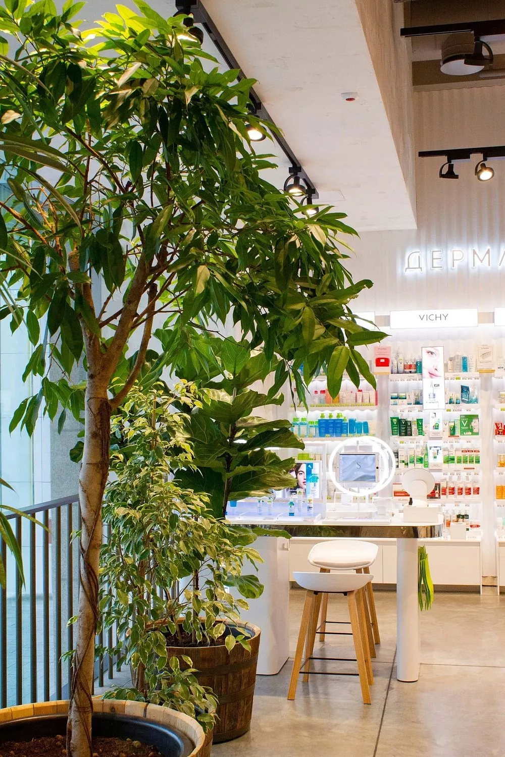 Золотое Яблоко