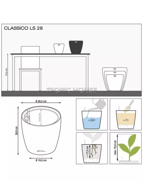 Стрелиция Николай в CLASSICO LS 28