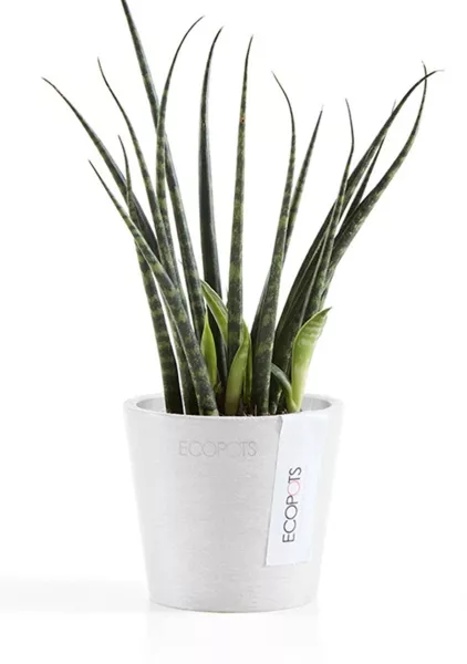 Ecopots Amsterdam Mini 8