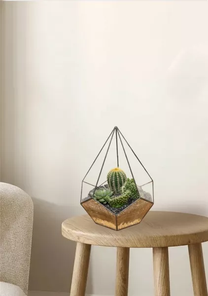 Флорариум - мини капля с кактусами и суккулентами