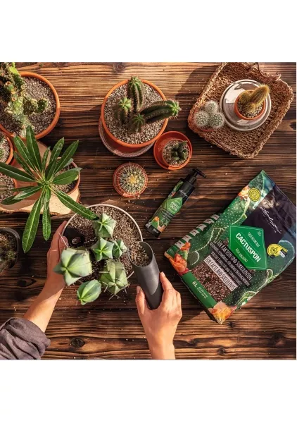 Субстрат Lechuza CACTUSPON