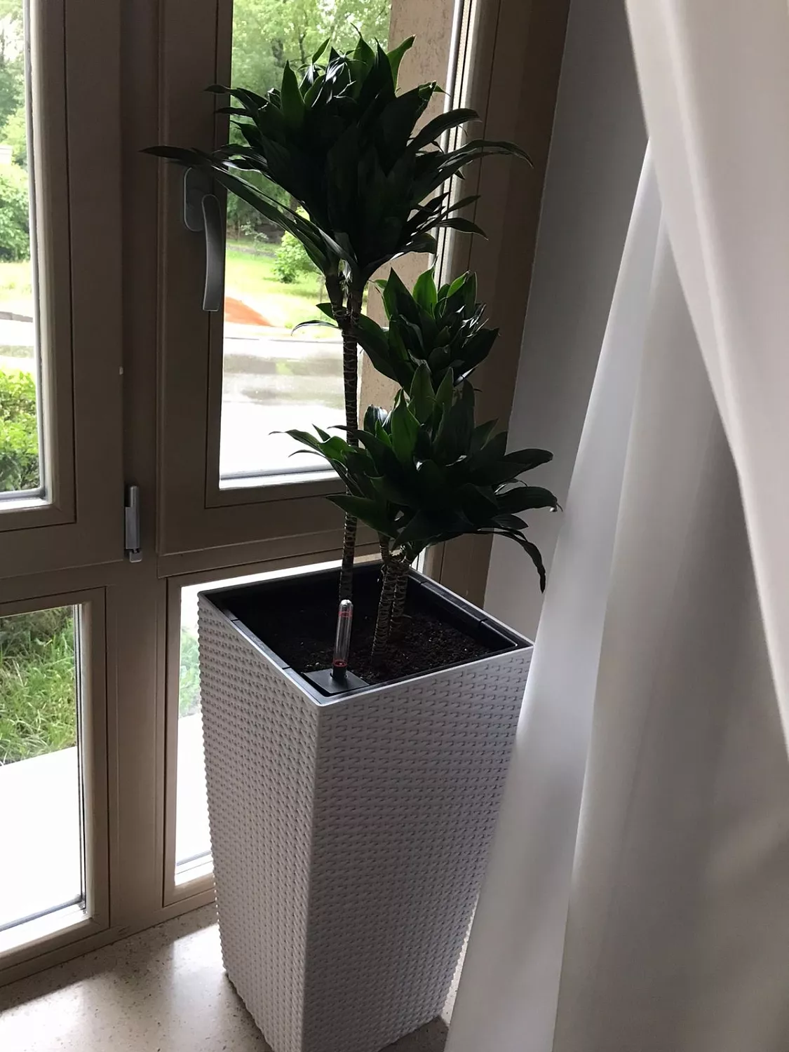 ВЫЕЗДНАЯ ПЕРЕСАДКА РАСТЕНИЙ