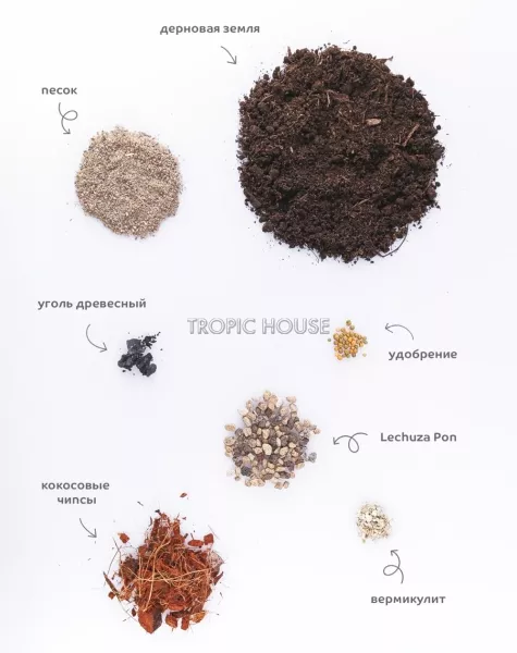 Грунт TROPIC HOUSE для пальм