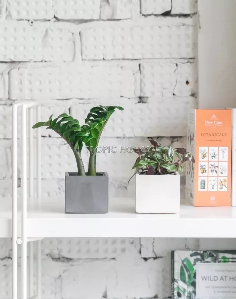 Кашпо бетонное настольное ТН 21