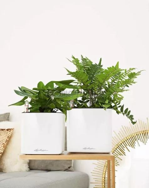 Кашпо LECHUZA CUBE Glossy 16х16 см