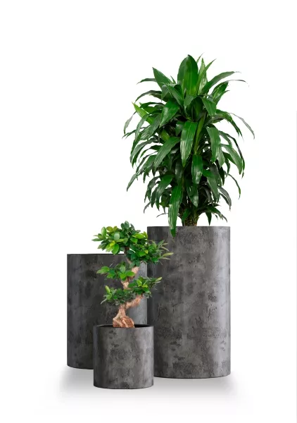 Кашпо CONCRETIKA CYLINDER CONCRETE GREY DARK
