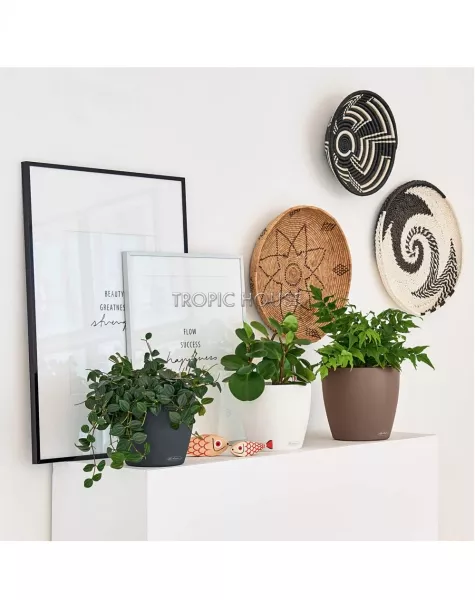 Кашпо LECHUZA CLASSICO Color 21х20 см