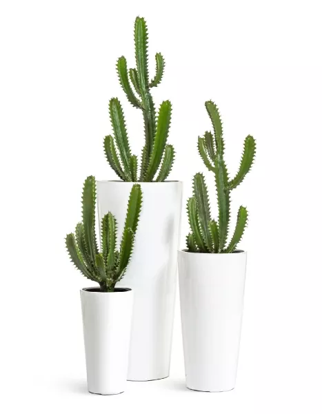 Кашпо TREEZ Effectory, Конус, Белый глянцевый лак