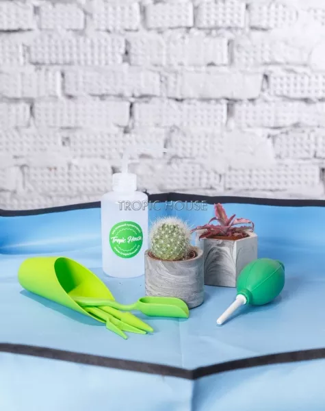 Лейка для полива суккулентов