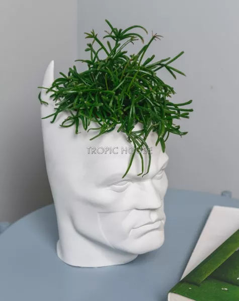 Кашпо для детской Бэтмен