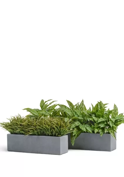 Кашпо TREEZ ERGO, Узкий низкий прямоугольник, Светло-серый камень