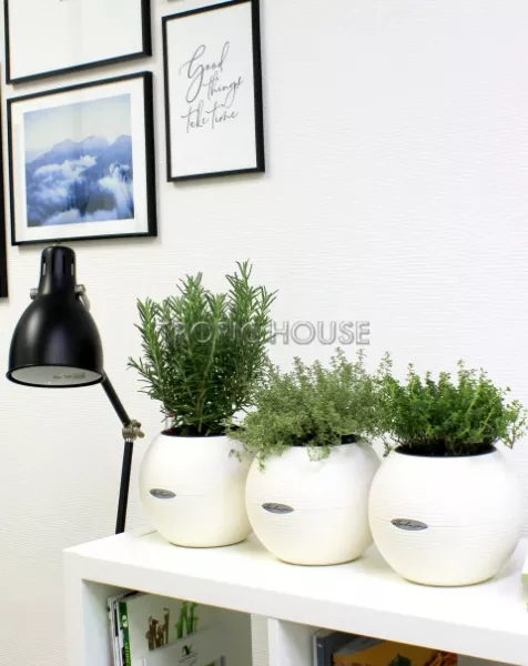 "Набор для кухни" Пряные травы в PURO 20