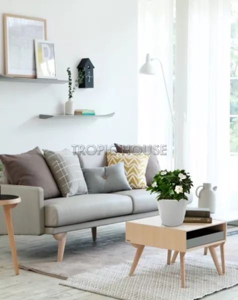 Гардения Жасминовидная в CLASSICO LS 21