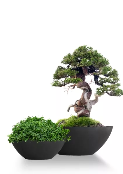 Кашпо CONCRETIKA BONSAY NERO