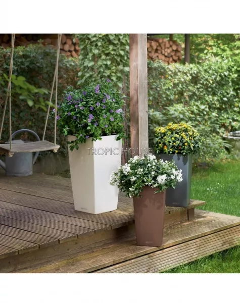 Кашпо LECHUZA CUBICO Color 22х41 см