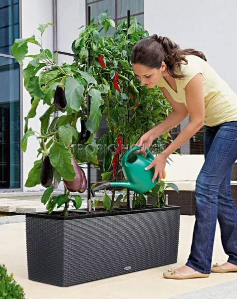 Кашпо LECHUZA TRIO Cottage 30х34 см