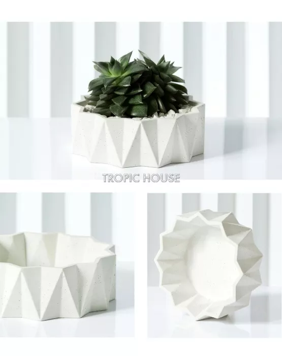 Кашпо Cassiopeia