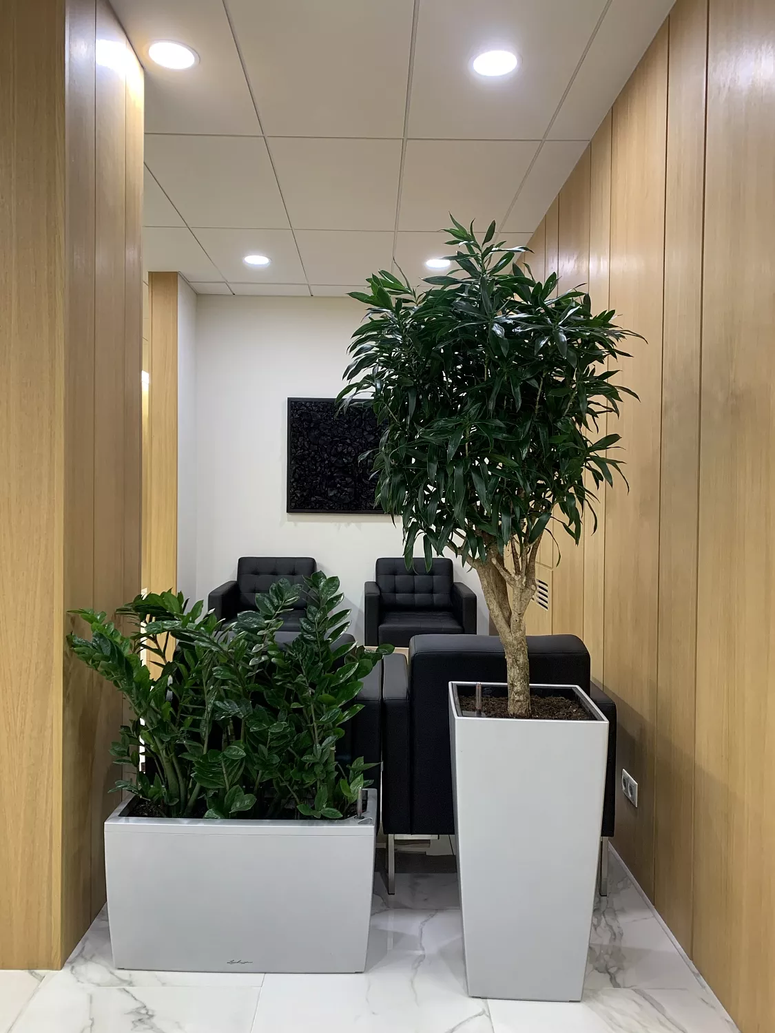 СЕРВИСНЫЙ УХОД ЗА РАСТЕНИЯМИ