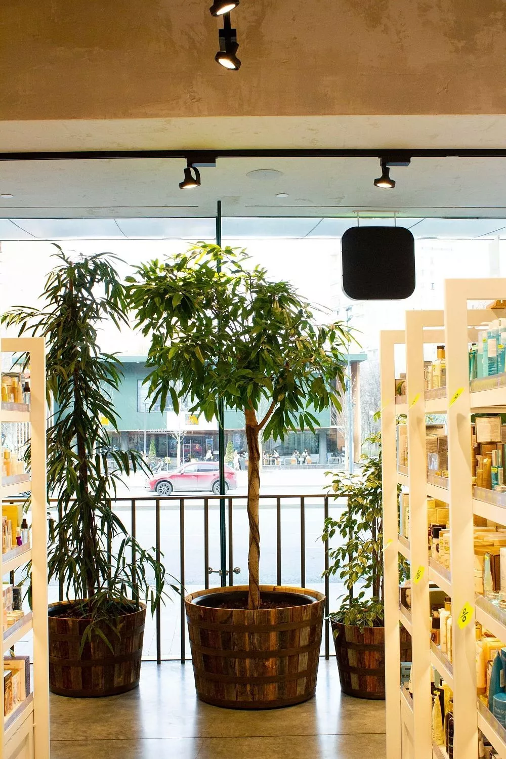 Золотое Яблоко