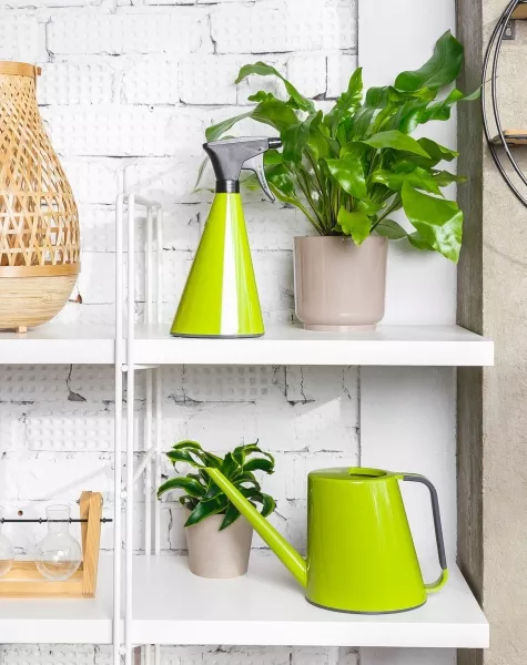 Опрыскиватель для комнатных цветов Loft (зеленый)