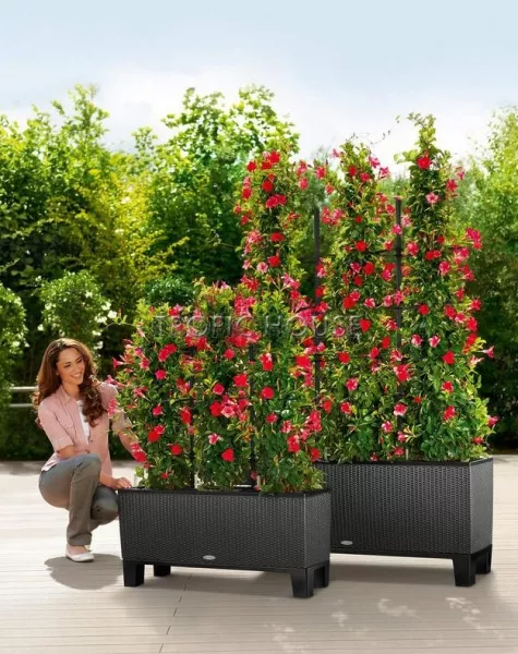 Кашпо LECHUZA TRIO Cottage 30х34 см