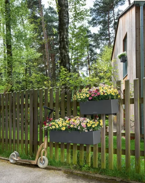 Кашпо LECHUZA BALCONERA Color 50х19 см