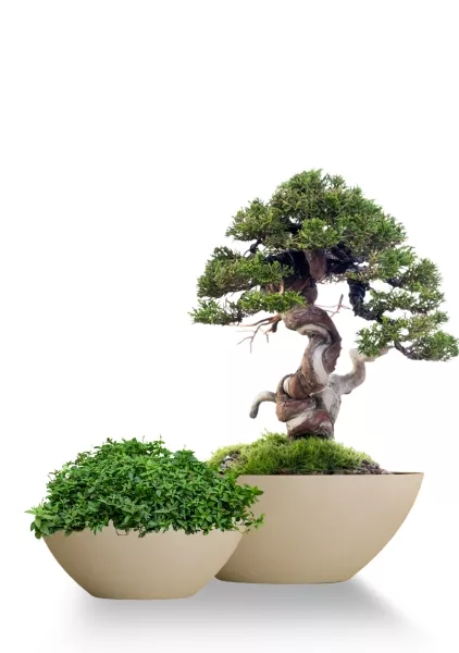 Кашпо CONCRETIKA BONSAY SAHARA