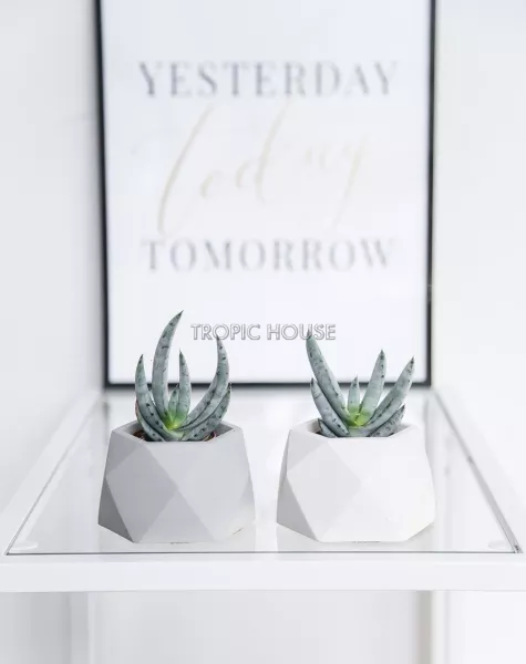 Кашпо бетонное настольное ТН 07