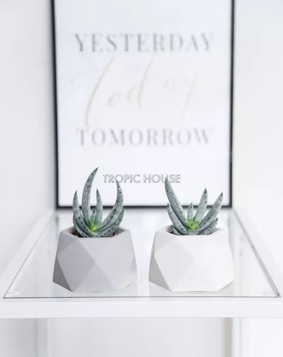 Кашпо бетонное настольное ТН 07