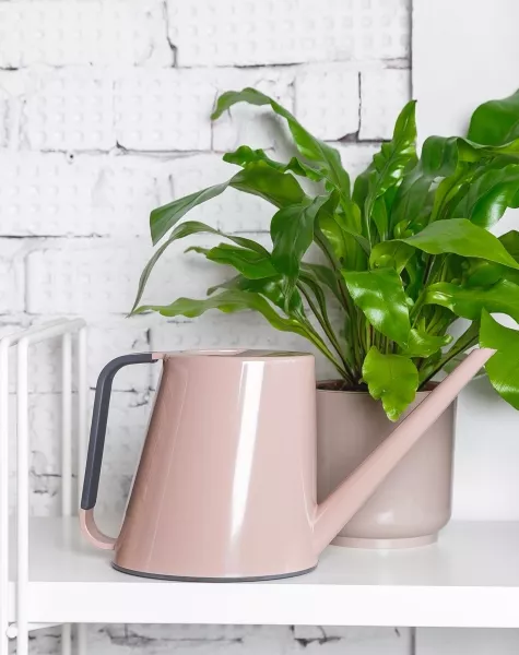 Лейка для комнатных цветов Loft (пудровый)