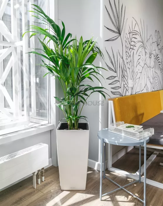 Ховея 24/130 см в CUBICO 30