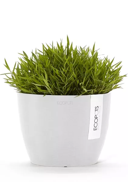 Ecopots Stockholm 16