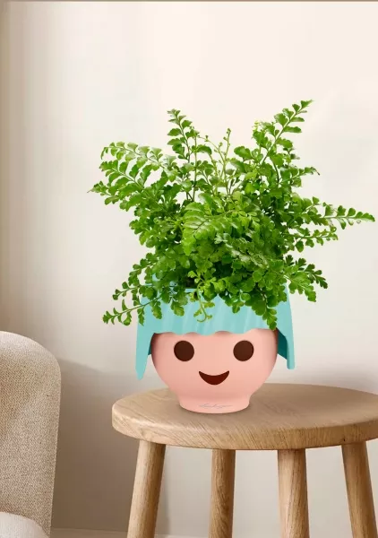 Папоротник Парвати 12/25 см в OJO