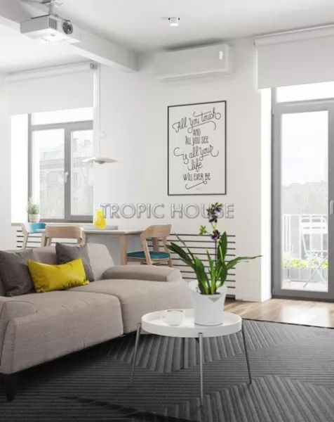 Орхидея Зигопеталум в ORCHIDEA 18